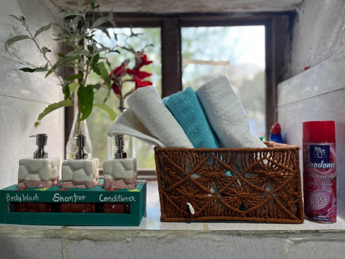 Nebula Nook Cottages Jibhi Extérieur photo